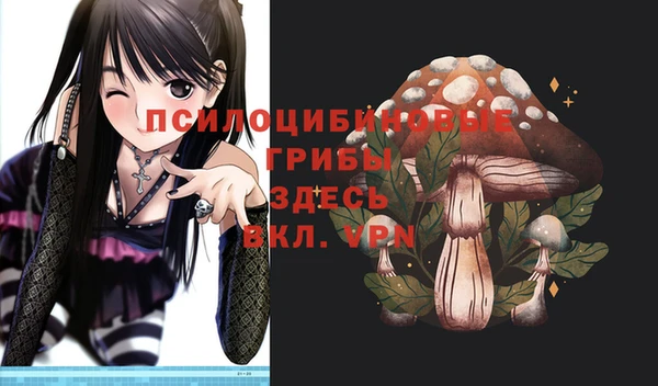 не бодяженный Аркадак