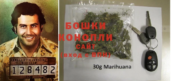 твердый Вяземский